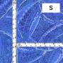 Hula Fabric / Leaf Lei & Kahiko / JKH-672-BL