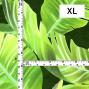 Hula Fabric / Banana Leaf / JKH-674-GR