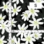 Hula Fabric / Tiare & Monstera / JKH-676-BK