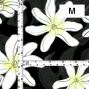 Hula Fabric / Tiare & Monstera / JKH-676-BK