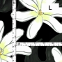 Hula Fabric / Tiare & Monstera / JKH-676-BK
