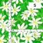 Hula Fabric / Tiare & Monstera / JKH-676-GR