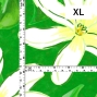 Hula Fabric / Tiare & Monstera / JKH-676-GR