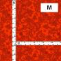 Hula Fabric / Lace Pattern Print / JKH-700-RD