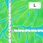 Hula Fabric / Monstera / JKH-704-LBL