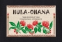 Hula Original Name Print T-shirt / Kahiko Lehua / Black / OT007b