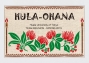 Hula Original Name Print T-shirt / Kahiko Lehua / White / OT007w