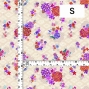 Japan Fabric / Chrysanthemum, Plum Blossom & Cherry Blossom / JWA-005-BE