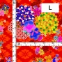 Japan Fabric / Chrysanthemum, Plum Blossom & Cherry Blossom / JWA-005-RD