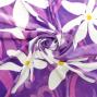 Hula Fabric / Tiare / JKH-542-PU