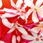 Hula Fabric / Tiare / JKH-544-RD
