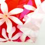 Hula Fabric / Tiare / JKH-544-RD
