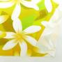 Hula Fabric / Tiare / JKH-544-YE