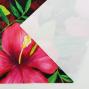 Hula Fabric / Hibiscus / JKH-554-RD