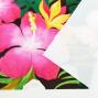 Hula Fabric / Hibiscus / JKH-556-BR
