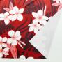 Hula Fabric / Plumeria / JKH-568-DRD
