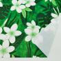 Hula Fabric / Plumeria / JKH-568-GR