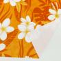 Hula Fabric / Plumeria / JKH-568-OR