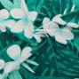 Hula Fabric / Plumeria / JKH-568-TBL