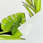 Hula Fabric / Modern Leaf / JKH-572-YEGR
