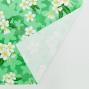Hula Fabric / Plumeria / JKH-576-TBL