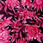 Hula Fabric / Protea / JKH-584-RD