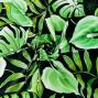 Hula Fabric / Anthurium / JKH-588-GR