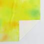 Hula Fabric / Yellow & Green / JKH-590-YEGR
