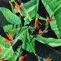 Hula Fabric / Strelitzia / JKH-596-BK