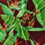 Hula Fabric / Strelitzia / JKH-596-BR