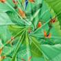 Hula Fabric / Strelitzia / JKH-596-GR