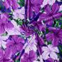 Hula Fabric / Hibiscus / JKH-616-RDPU