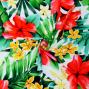 Hula Fabric / Hibiscus / JKH-622-RDWH