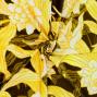 Hula Fabric / Tuberose / JKH-624-YEKA