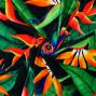 Hula Fabric / Tropical Bird / JKH-632-BK