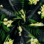 Hula Fabric / Plumeria / JKH-644-BK