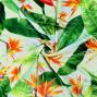 Hula Fabric / Strelitzia / JKH-650-WH