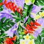 Hula Fabric / Breadfruit / JKH-656-PU