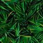 Hula Fabric / Ti Leaf / JKH-658-GR