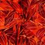 Hula Fabric / Ti Leaf / JKH-658-RD