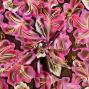 Hula Fabric / Hibiscus / JKH-662-BRPI