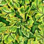 Hula Fabric / Hibiscus / JKH-662-GRYE