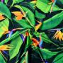 Hula Fabric / Bird of Paradise / JKH-668-DGR
