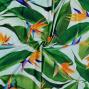 Hula Fabric / Bird of Paradise / JKH-668-WH