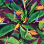 Hula Fabric / Bird of Paradise / JKH-668-WI
