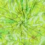 Hula Fabric / Hawaiian Flower / JKH-670-YEGR