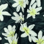 Hula Fabric / Tiare & Monstera / JKH-676-BK