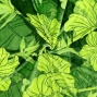 Hula Fabric / Hibiscus / JKH-684-GR