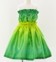 Hula Set up Keiki / Luxury Collection / Yellow & Green / Jp40yegr